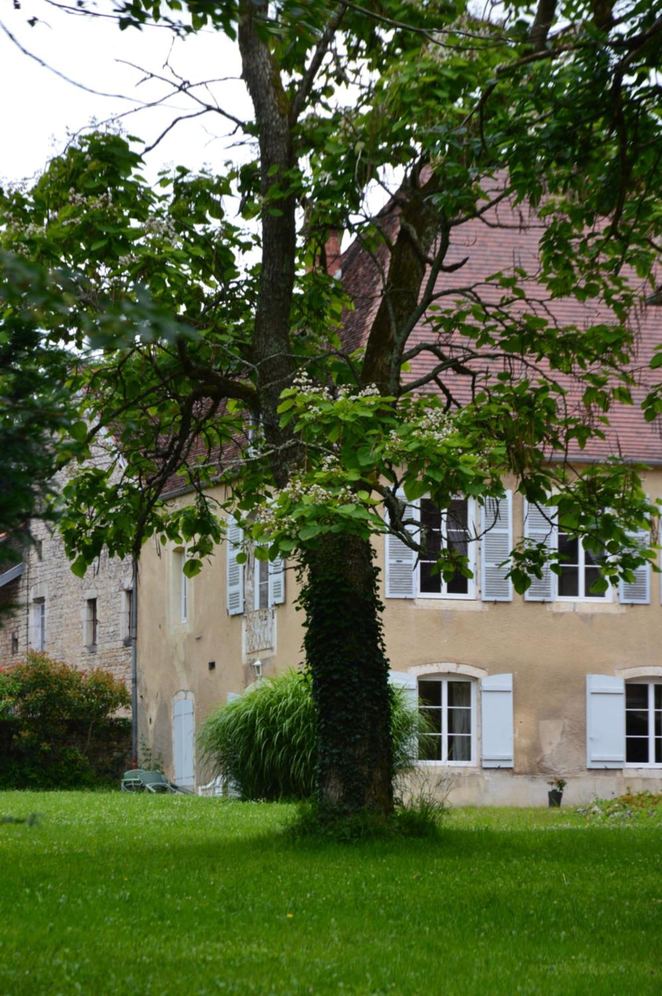 La Tourelle D'Aiglepierre Appartement Buitenkant foto